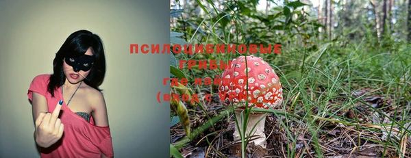 мдпв Волоколамск
