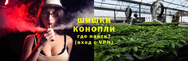мдпв Волоколамск