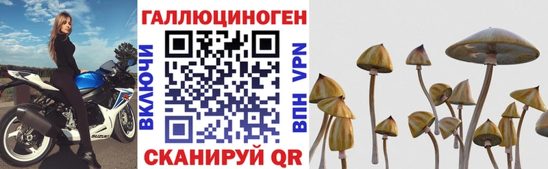 Псилоцибиновые грибы прущие грибы  где можно купить наркотик  Тольятти 